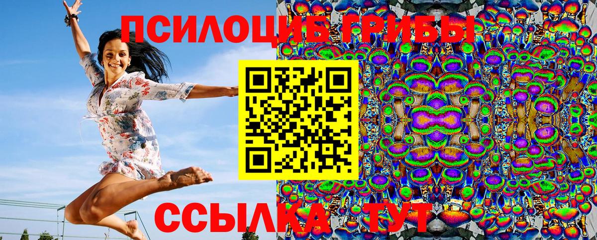Галлюциногенные грибы MAGIC MUSHROOMS  Вход с VPN  Егорьевск  Галлюциногенные грибы мицелий 